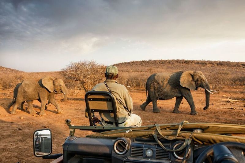 Impodimo Game Lodge マディクウェ野生保護区 エクステリア 写真
